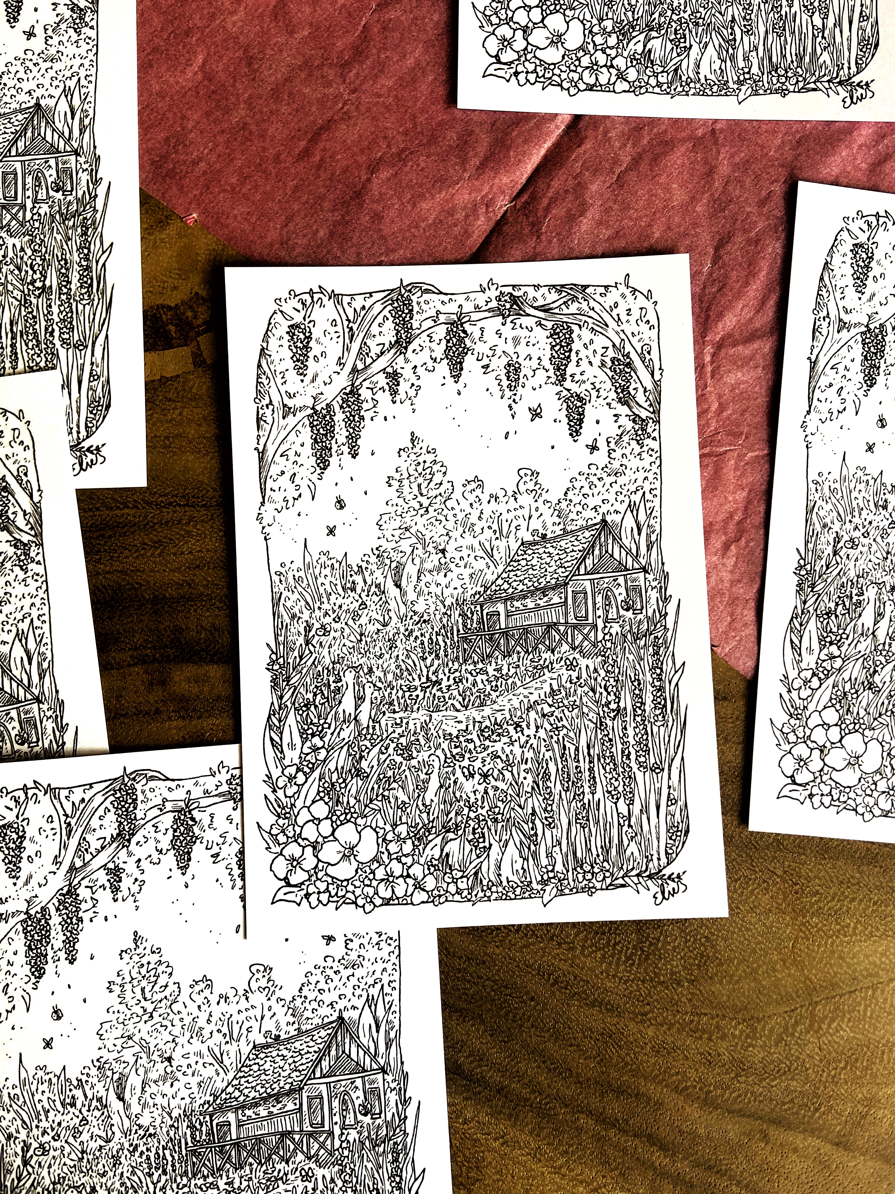 collectie13